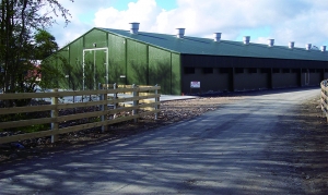 豬場(chǎng)設(shè)計(jì)