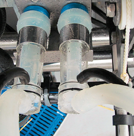 奶山羊擠奶轉(zhuǎn)盤(pán)