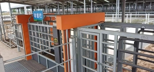 自動(dòng)稱(chēng)重分群系統(tǒng)