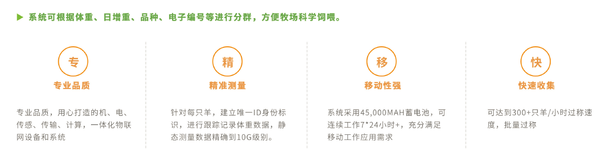 羊用智能稱(chēng)重分群設(shè)備